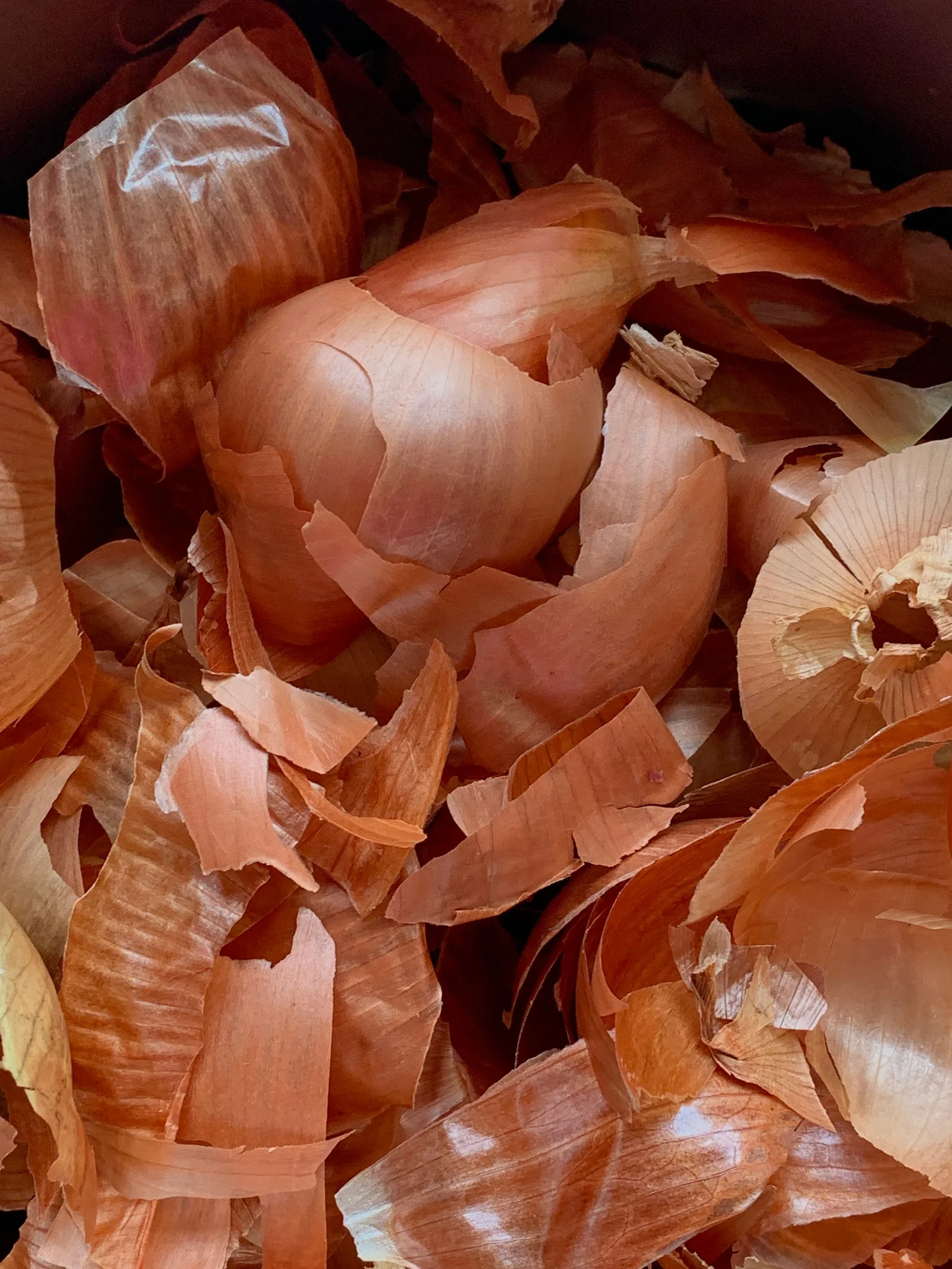 Onion skins for natural dye