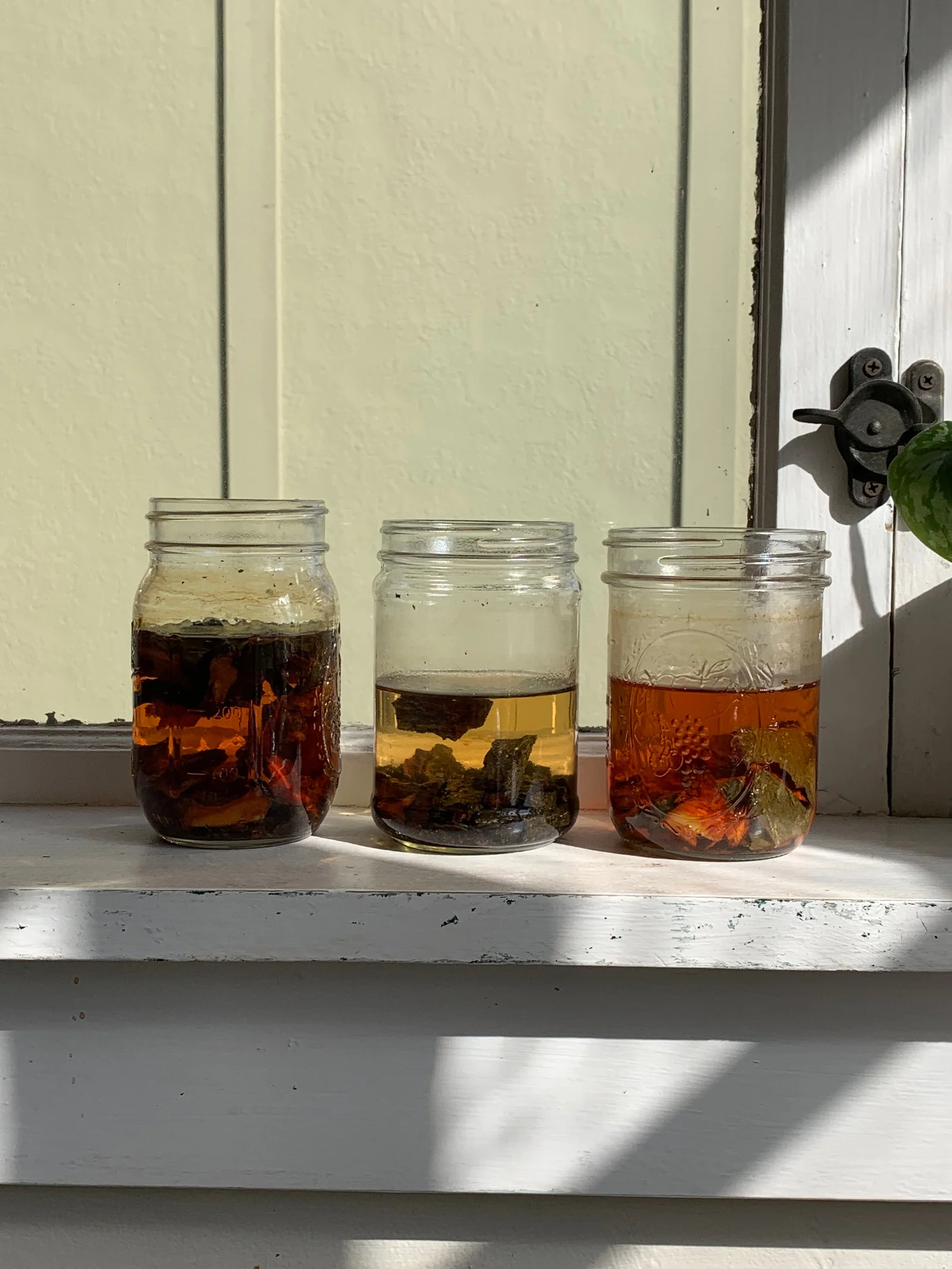 Natural dye tests