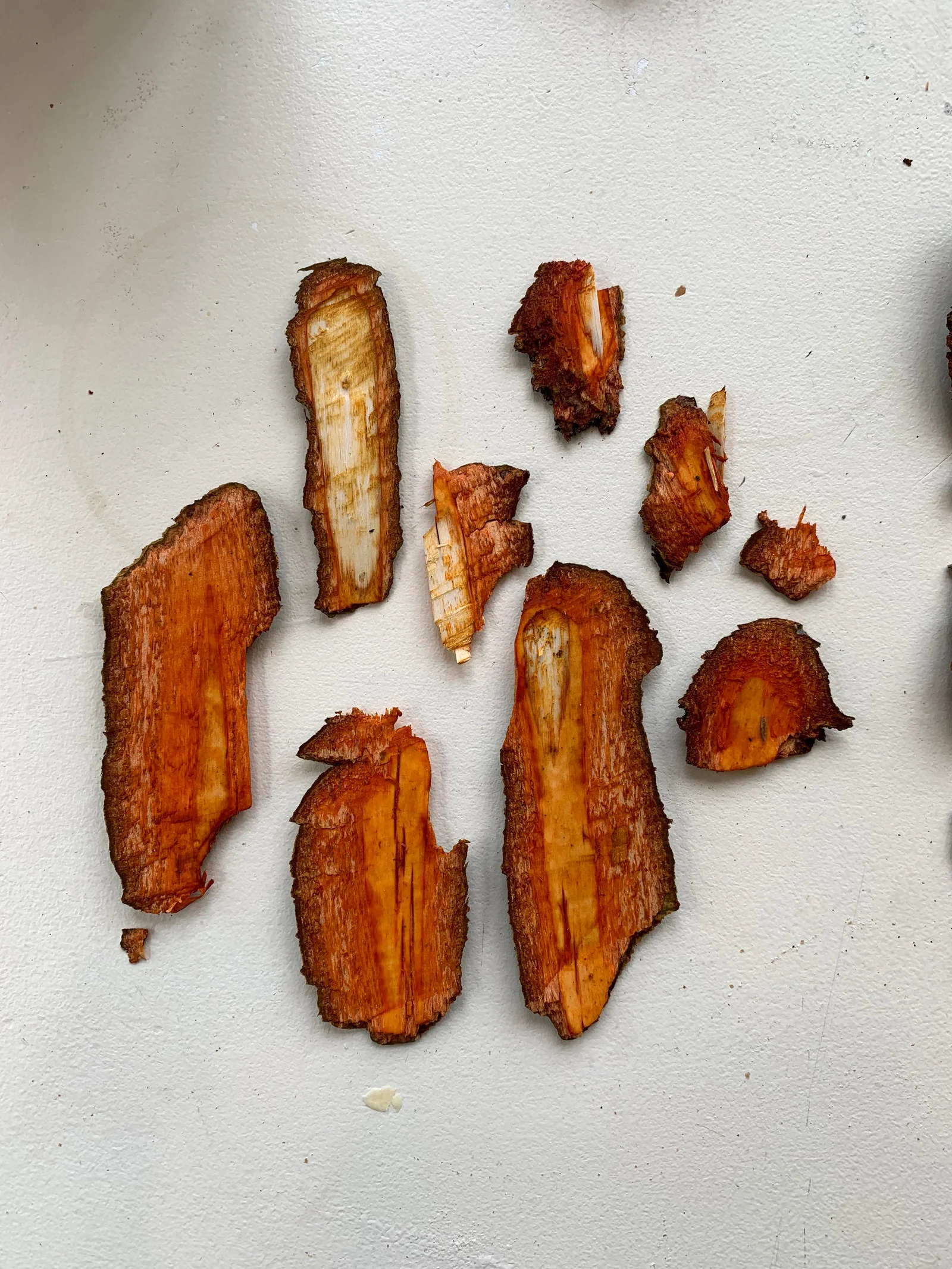 Tree bark for natural dye